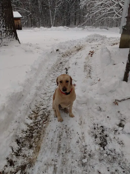 Central New Hampshire Animal Care 7
