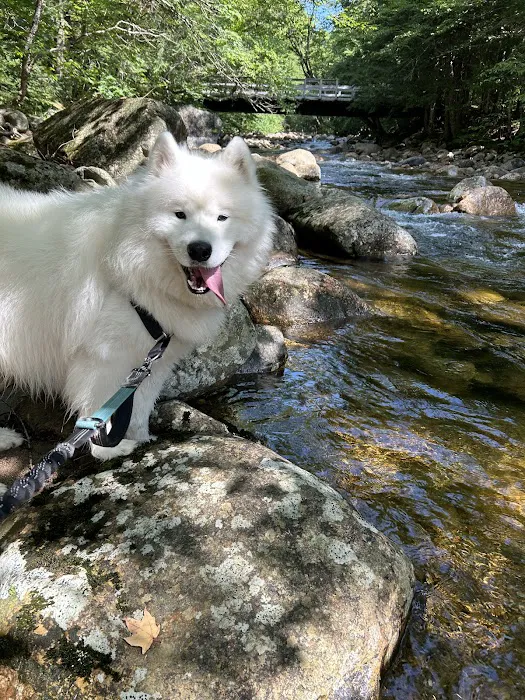 Central New Hampshire Animal Care 2