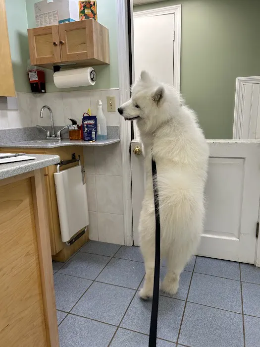 Central New Hampshire Animal Care 1