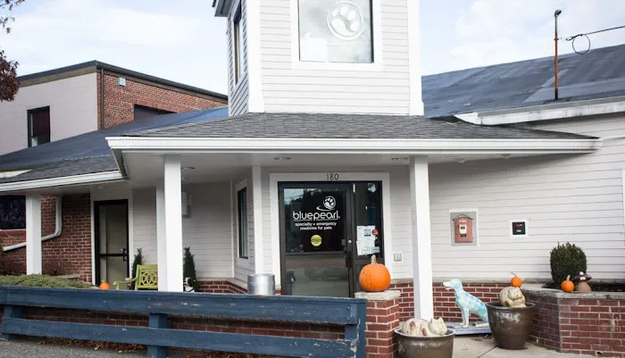 BluePearl Pet Hospital 9