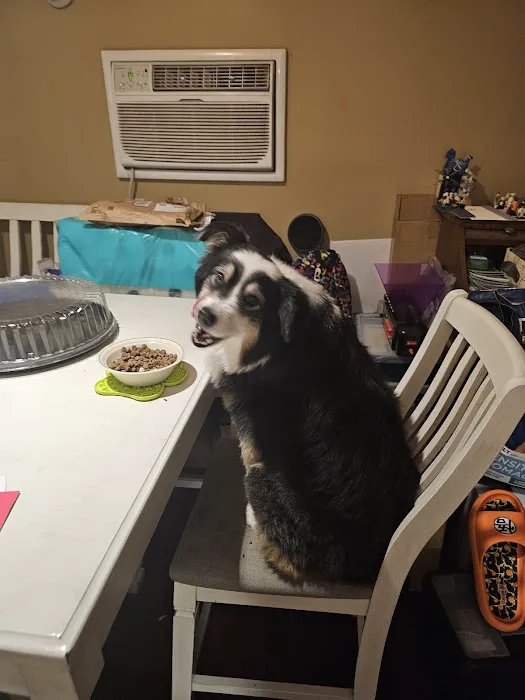 BluePearl Pet Hospital 3