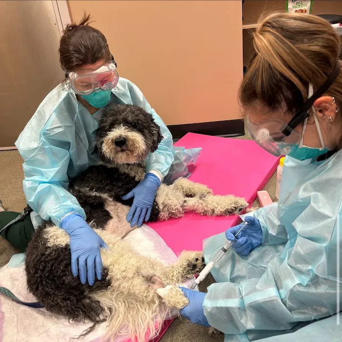 Ally Veterinary Specialty Center 7