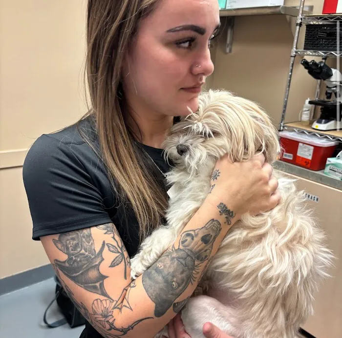 Ally Veterinary Specialty Center 6
