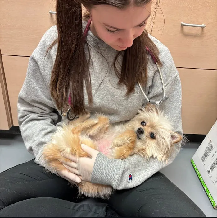 Ally Veterinary Specialty Center 5