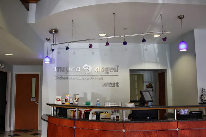 MSPCA-Angell West 5