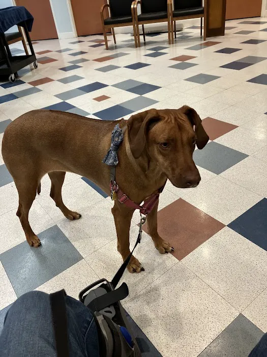MSPCA-Angell West 4