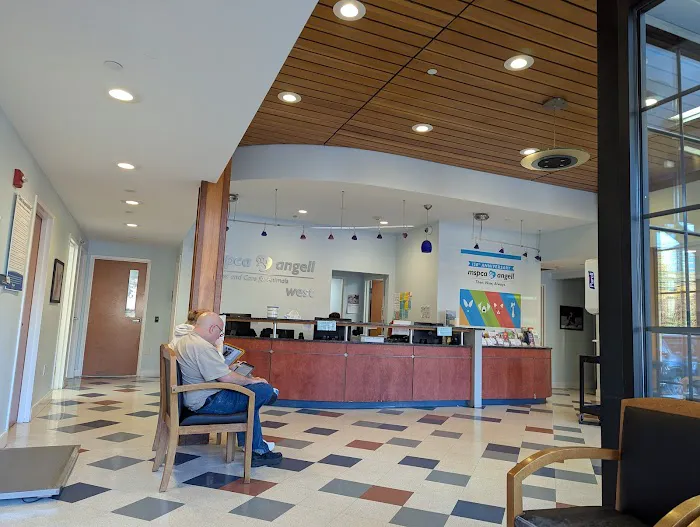 MSPCA-Angell West 9