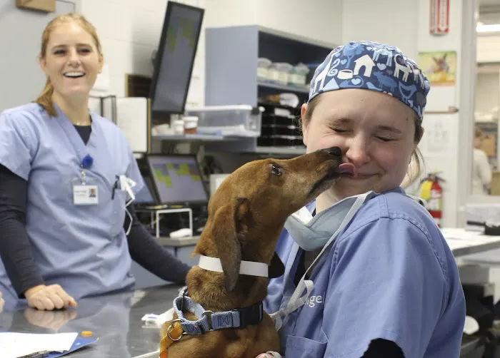 MSPCA-Angell West 1