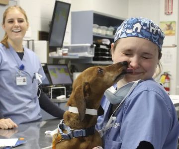 MSPCA-Angell West