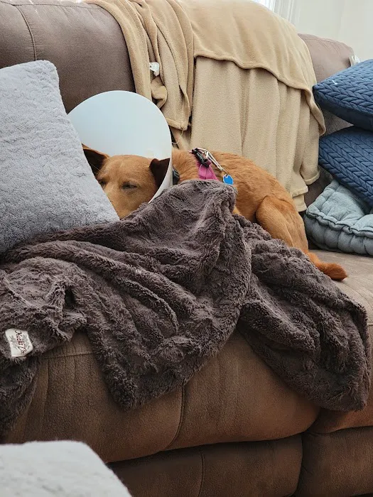 Merrimack Animal Hospital 6