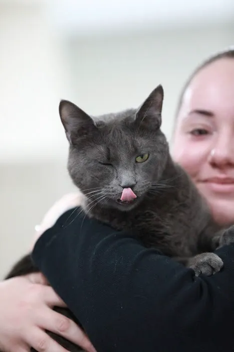 Merrimack Animal Hospital 2