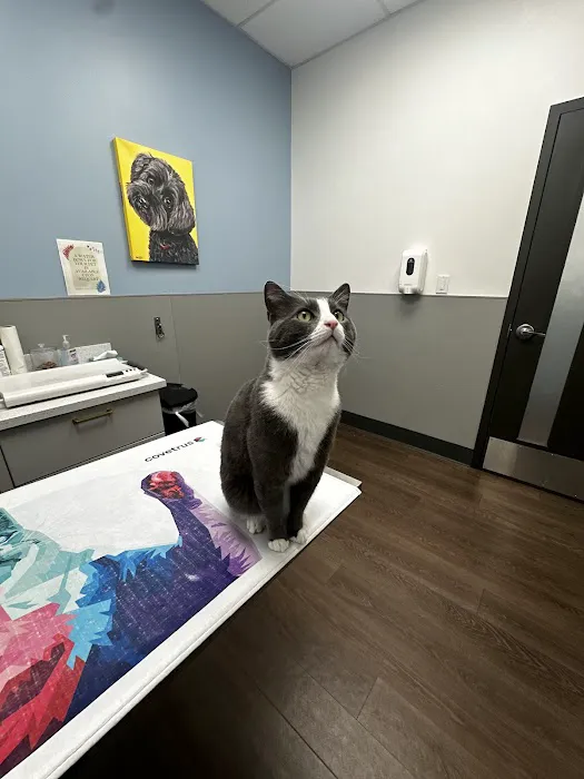 PetMedic Urgent Care Vet Clinic - Burlington 4