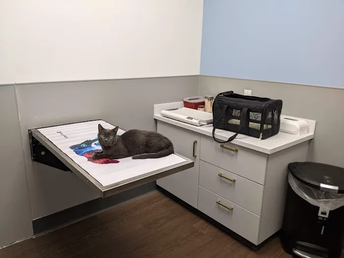 PetMedic Urgent Care Vet Clinic - Burlington 8