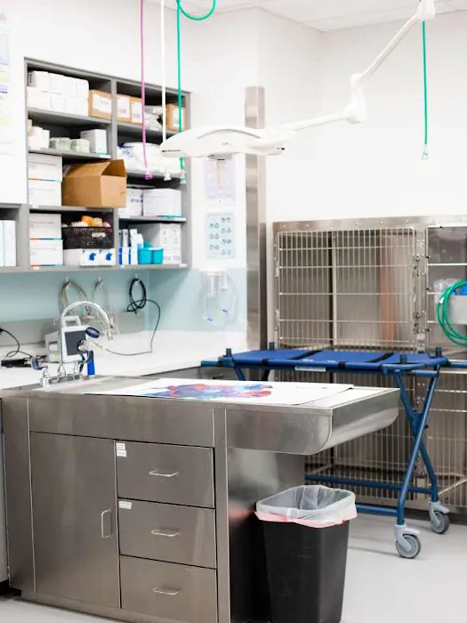 PetMedic Urgent Care Vet Clinic - Burlington 1