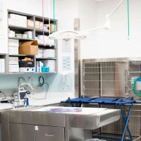 PetMedic Urgent Care Vet Clinic - Burlington ico