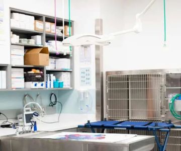 PetMedic Urgent Care Vet Clinic - Burlington