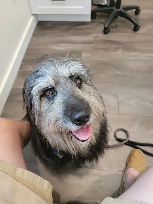 Burlington Veterinary Hospital 4