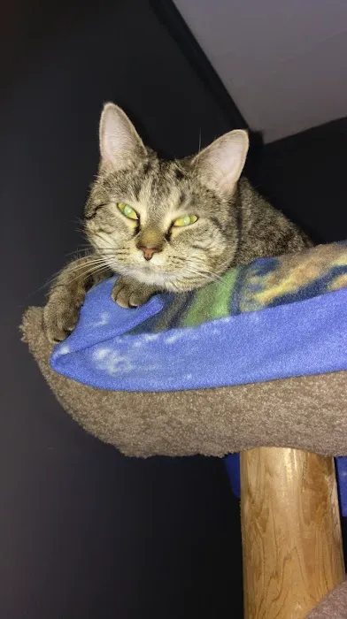 Burlington Veterinary Hospital 1
