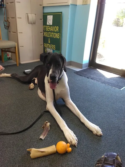 www.PetBehaviorProblems.com 6