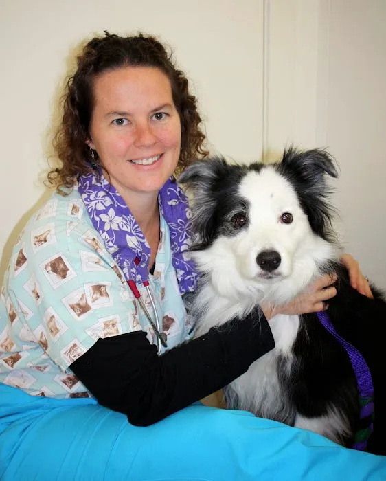 Burlington Animal Clinic 10
