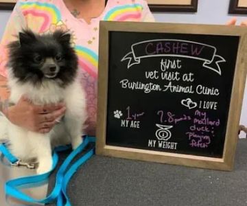 Burlington Animal Clinic