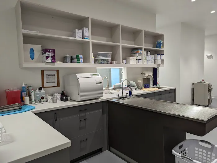 Cambridge Street Animal Hospital 2