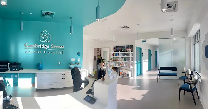 Cambridge Street Animal Hospital 4
