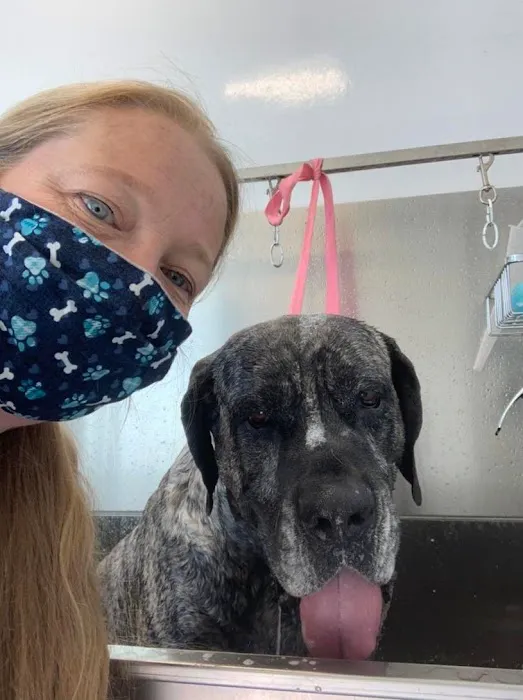 Cambridge Street Animal Hospital 6