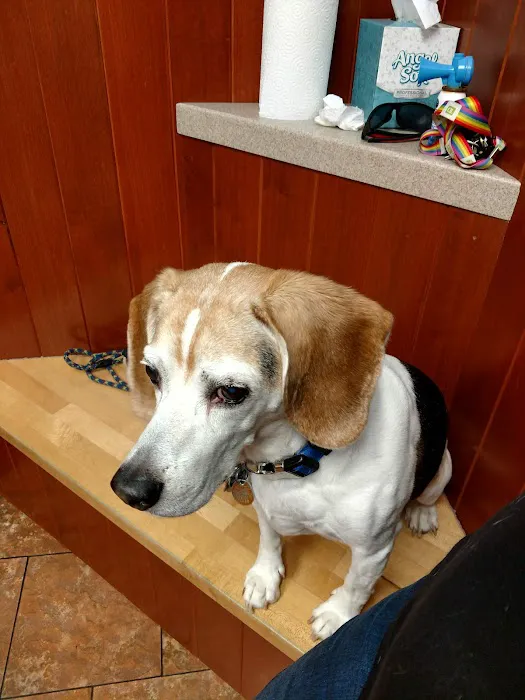 Woburn Animal Hospital 7