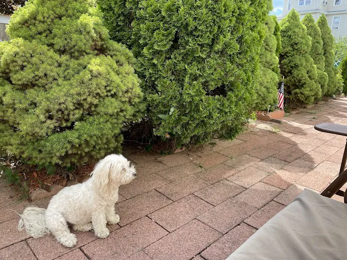 Woburn Animal Hospital 4