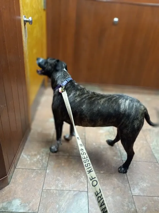 Woburn Animal Hospital 1