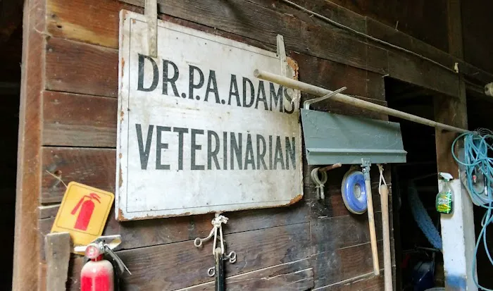 Adams Animal Clinic 4