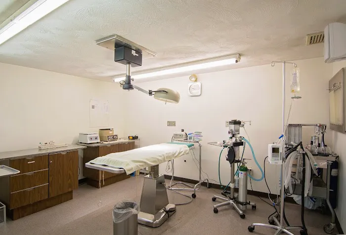 Best Pets Veterinary Hospital 8