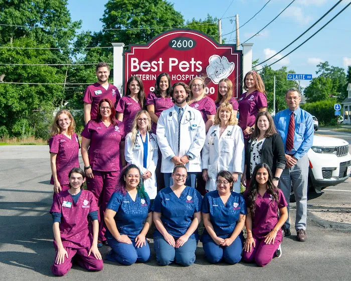 Best Pets Veterinary Hospital 1