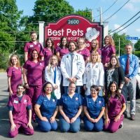 Best Pets Veterinary Hospital ico