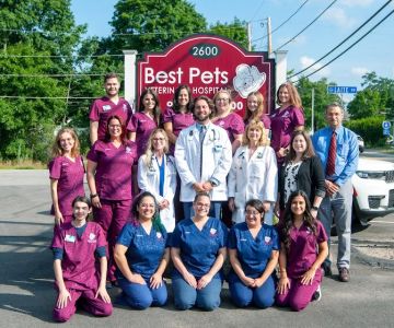 Best Pets Veterinary Hospital