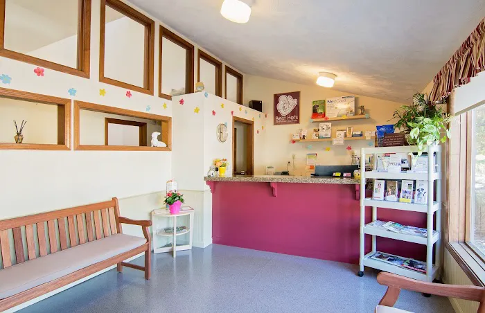Best Pets Veterinary Hospital 2