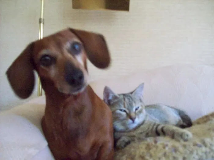 Wilmington Veterinary Hospital 2