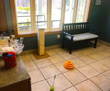 Shawsheen Animal Hospital
