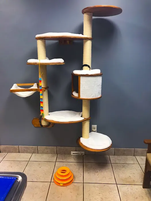 Shawsheen Animal Hospital 8