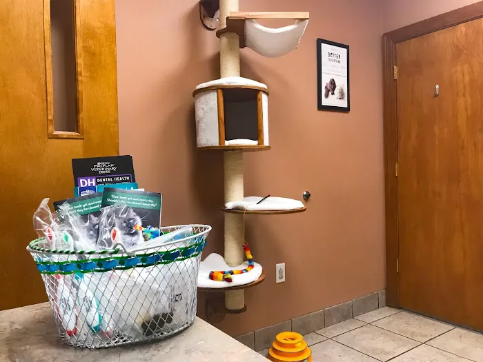 Shawsheen Animal Hospital 9