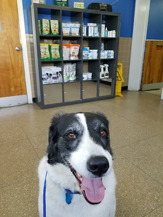 Kindness Animal Hospital 5