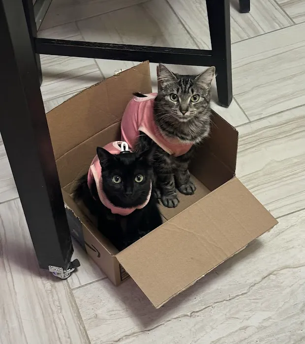 Kindness Animal Hospital 3