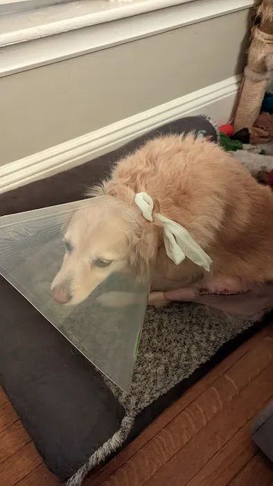 Kindness Animal Hospital 1