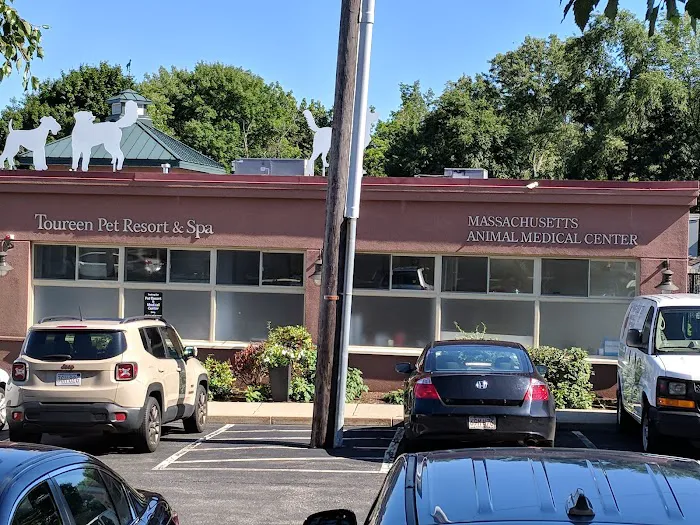 Massachusetts Animal Medical Center 8