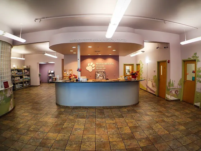 Massachusetts Animal Medical Center 6