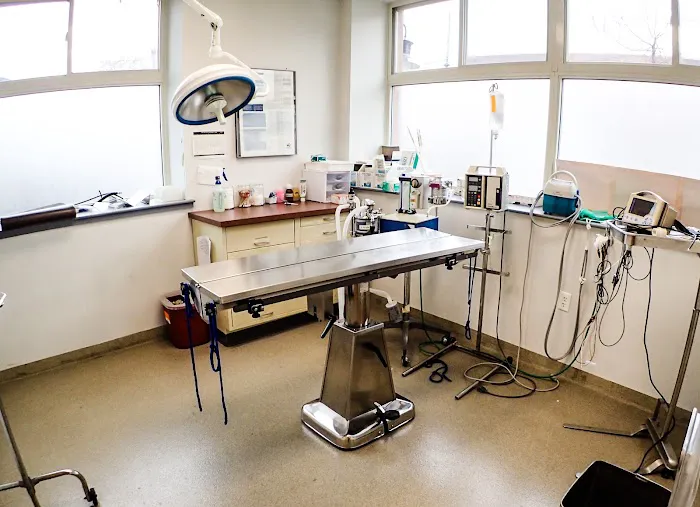 Massachusetts Animal Medical Center 2