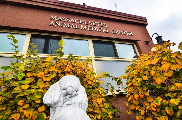 Massachusetts Animal Medical Center 5