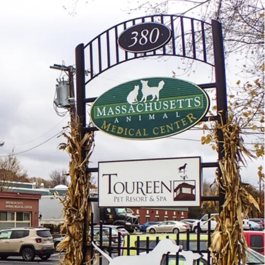 Massachusetts Animal Medical Center 10