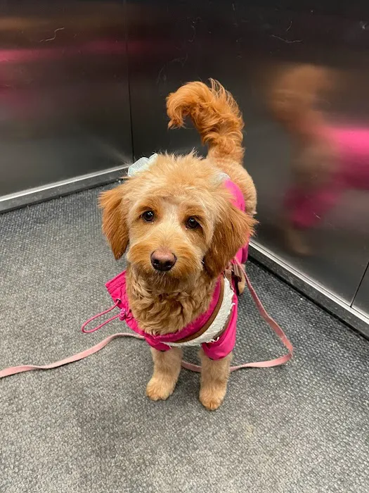 Newton Animal Hospital, A Thrive Pet Healthcare Partner 1